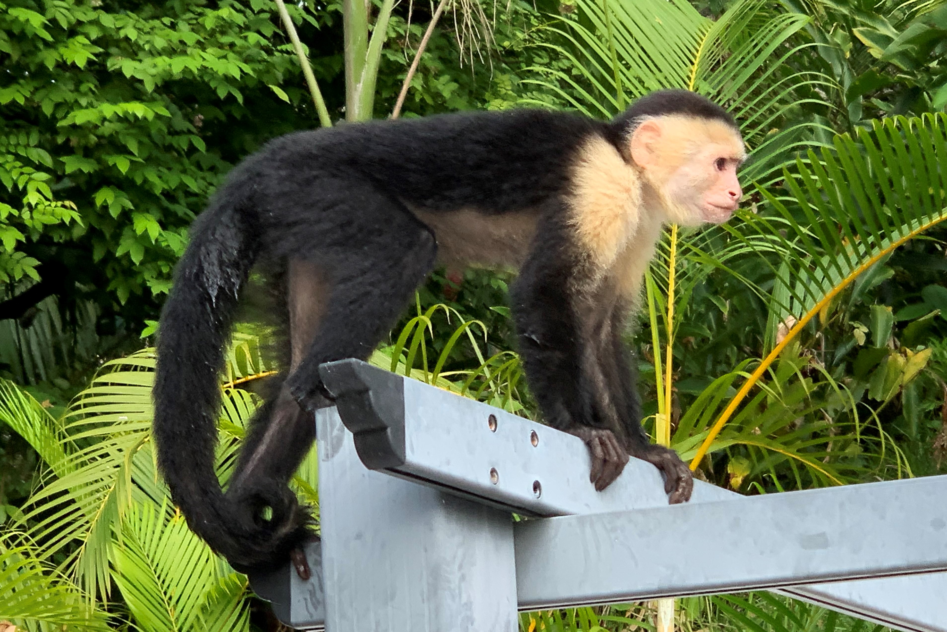 Costa Rica